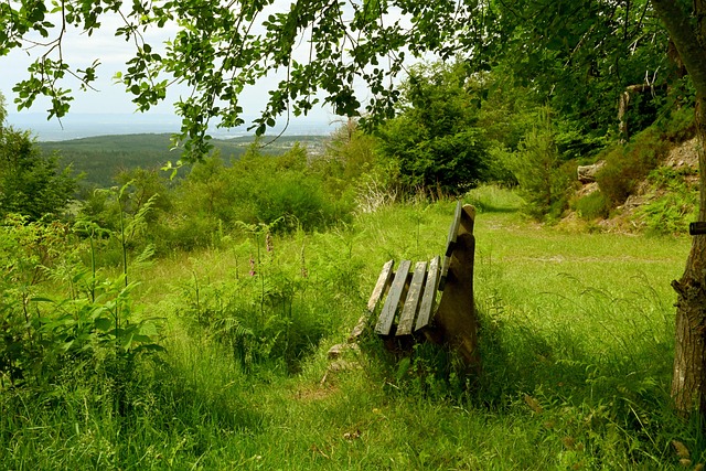 誼賽過程中 誼賽過程中