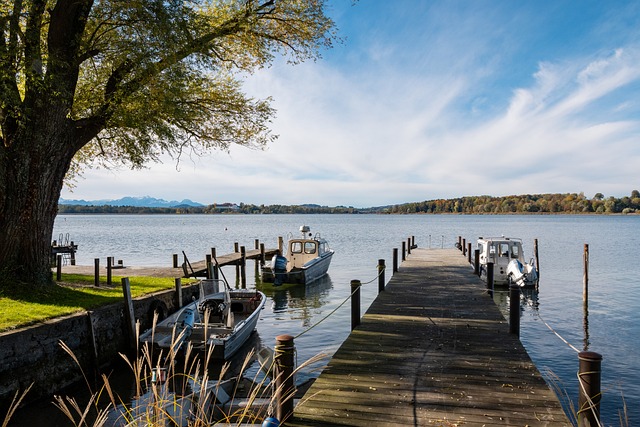 今令球迷胆 今令球迷胆