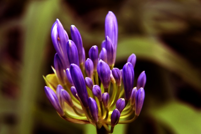 乔治和科怀 乔治和科怀