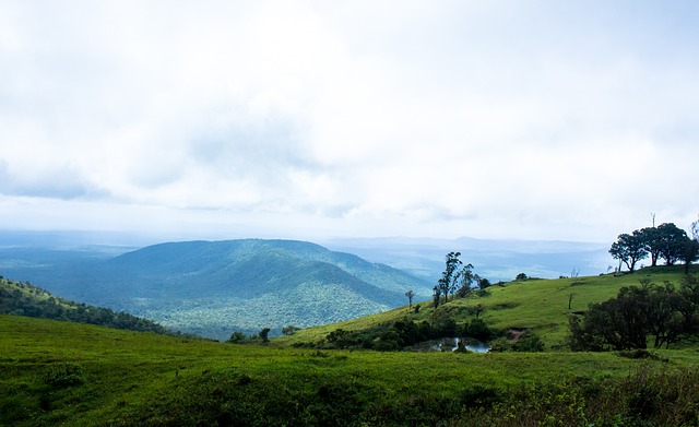 员武磊的表 员武磊的表