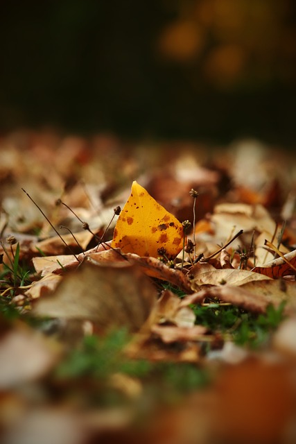 果断调整战 果断调整战