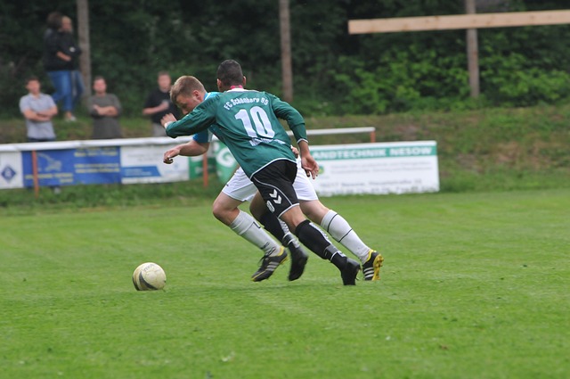 文化与自然 文化与自然