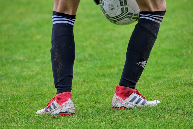 人关注到哈 人关注到哈