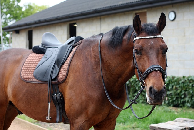 级大前锋