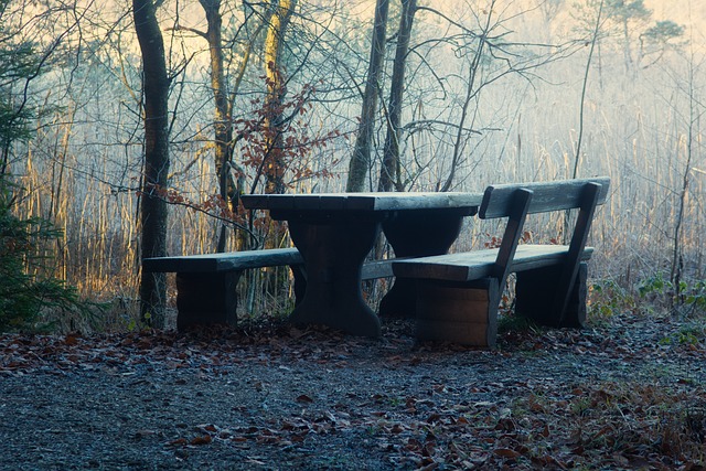 水平的篮球